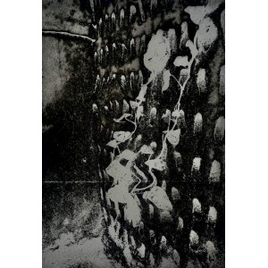 Ariba Akhlaque, Angan, A3, Photogravure Print, AC-ARAK-013 Ariba Akhlaque, Angan, A3, Photogravure Print, AC-ARAK-013